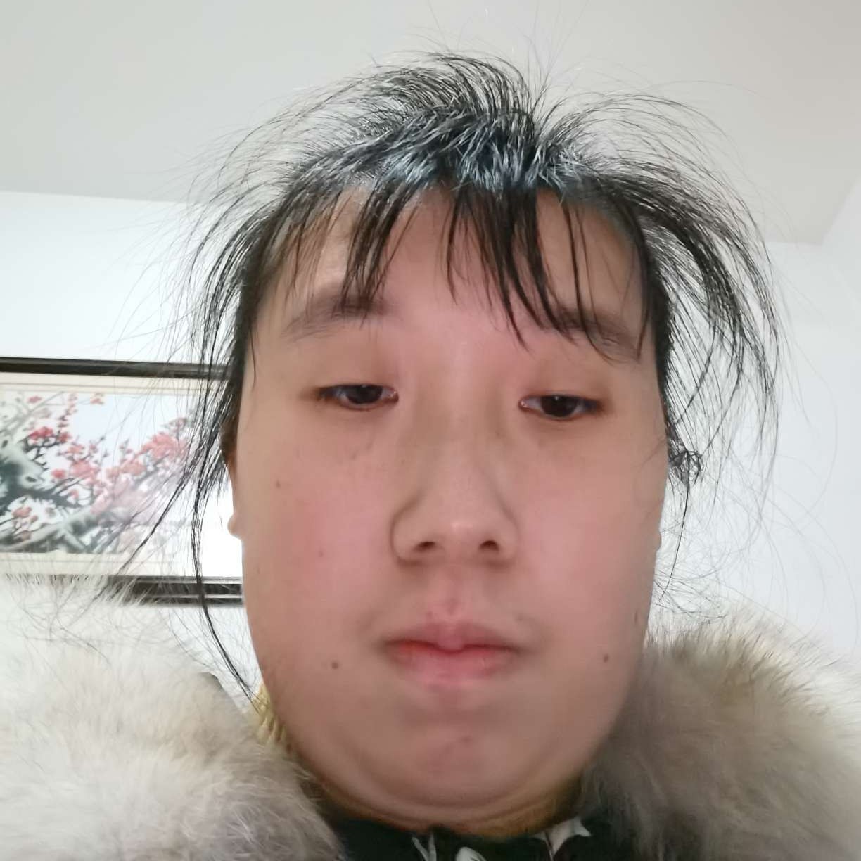 闭了的照片