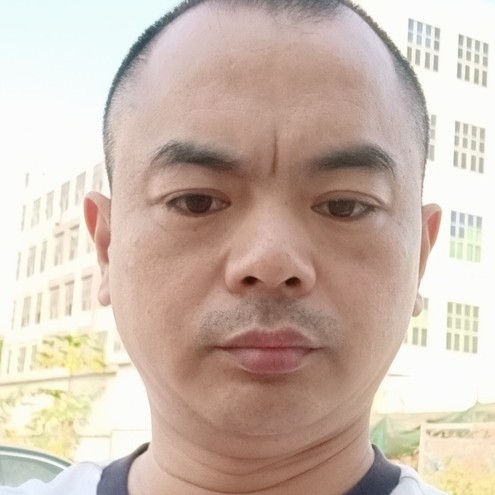飞翔的神鹰的照片