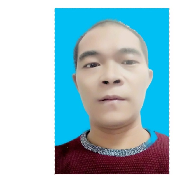 漂泘的萍的照片