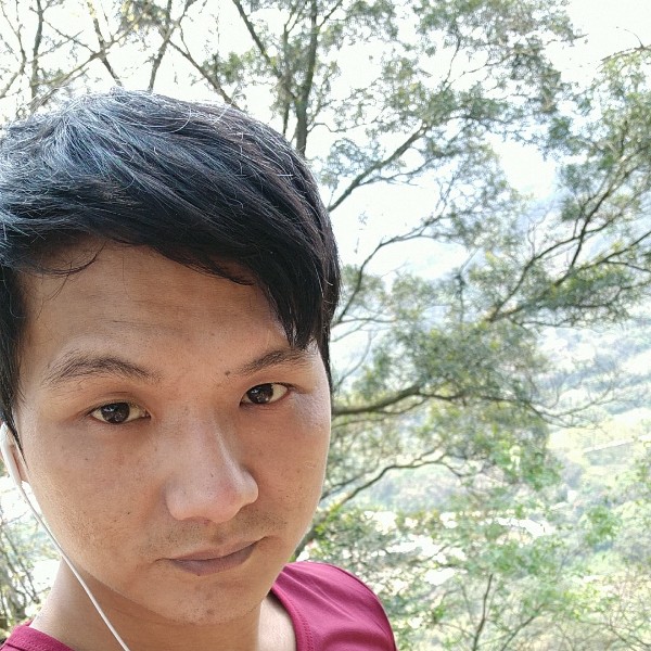 吃猫的小鱼儿的照片
