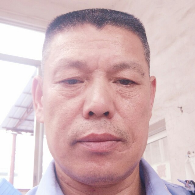 相伴人海的照片