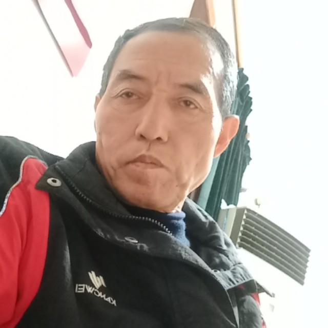 小刺猬改变精明的照片