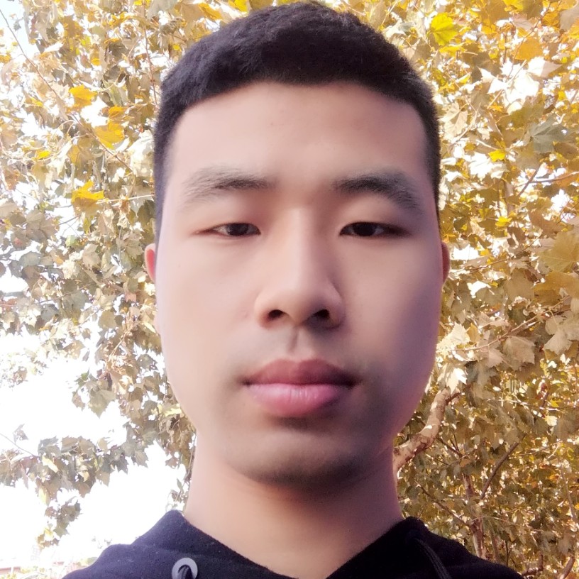 金毛凝眸纯情的照片