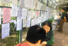 深圳莲花山公园相亲角靠谱吗?