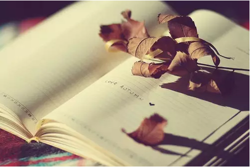 QQ截图20150603162705.png