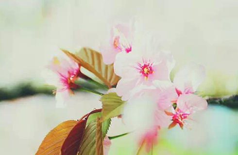 QQ截图20150625172900.png