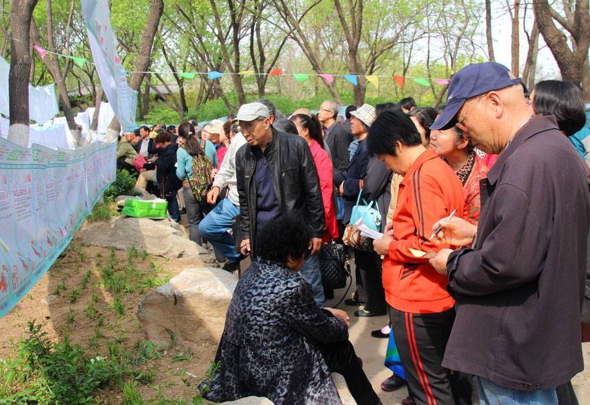 千佛山相亲会父母是主力军