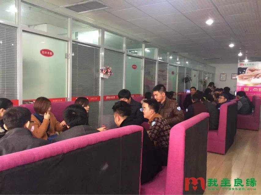 做的最好最出色的婚介所