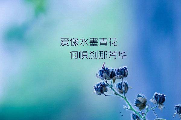 图片283.jpg