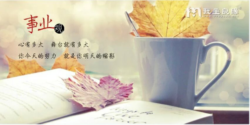 在厦门比较靠谱的婚恋公司
