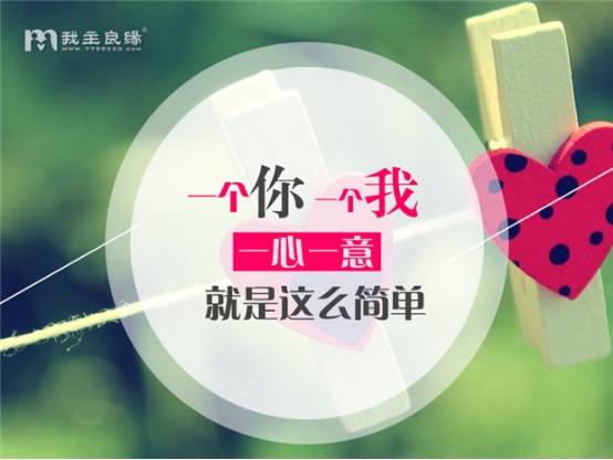 我主良缘相亲日记 优质男遇今生挚爱