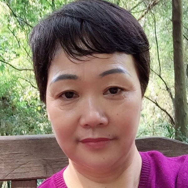 枝头树叶的照片