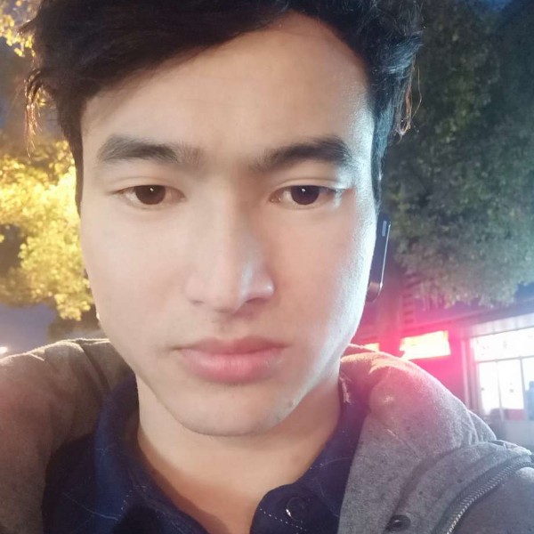 羽毛拾忆甜美的照片