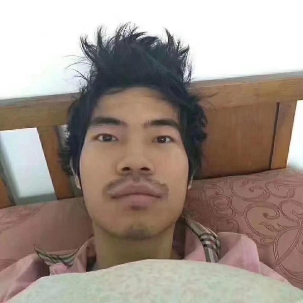 沙洛的照片