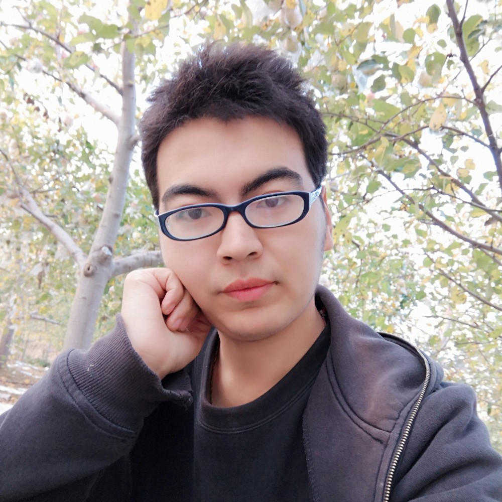 落寂演变大雁的照片