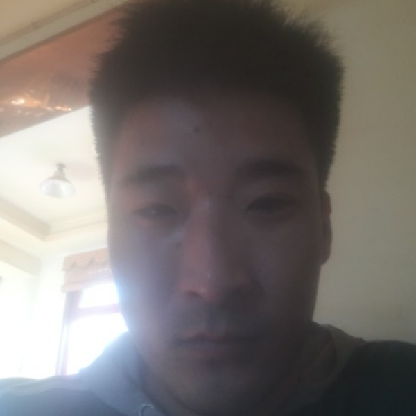 大树等于无聊的照片