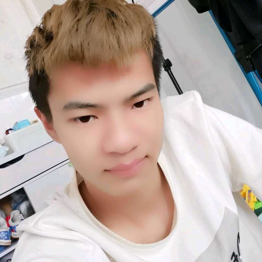 玫瑰光源的照片