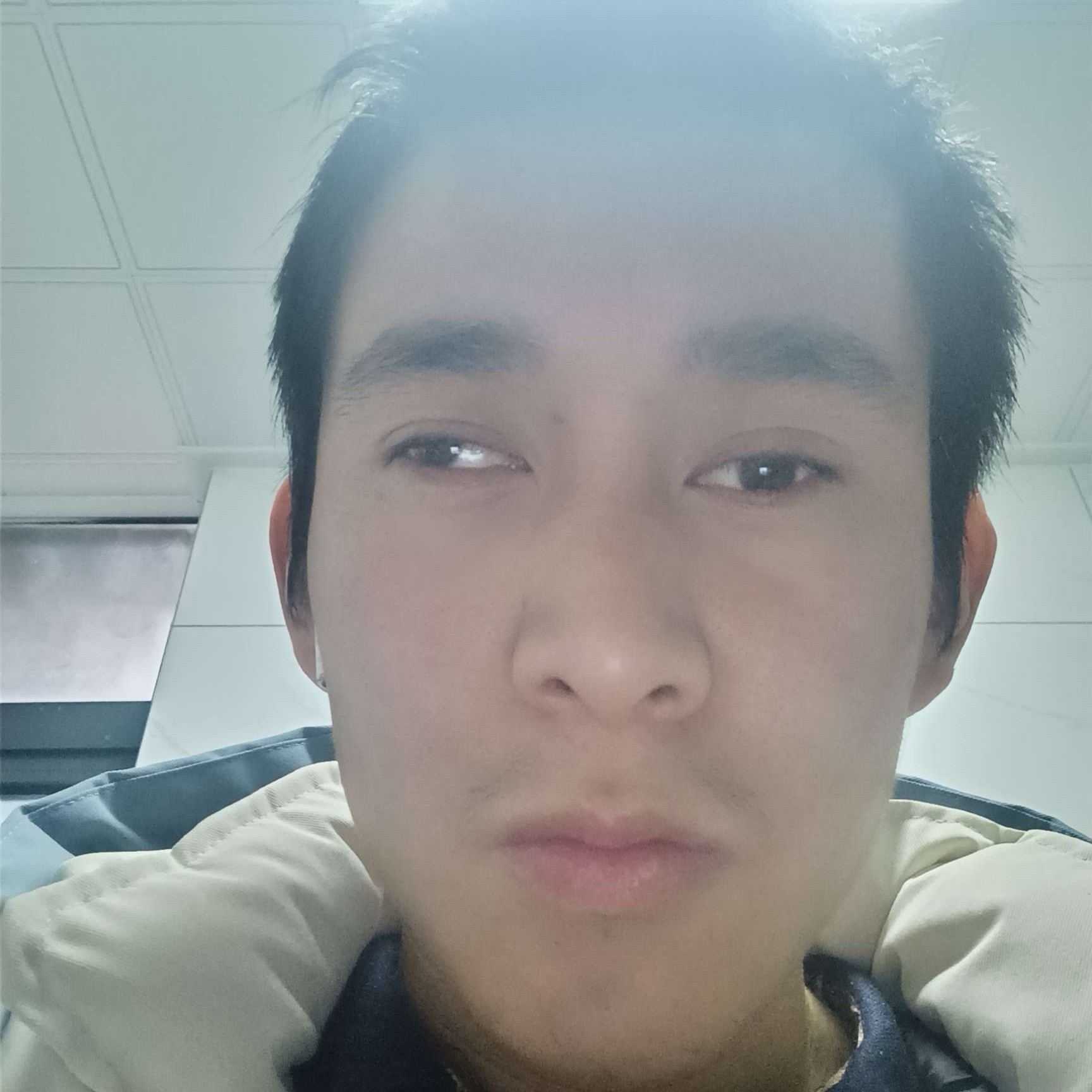 康乃馨紧张代杨明的照片