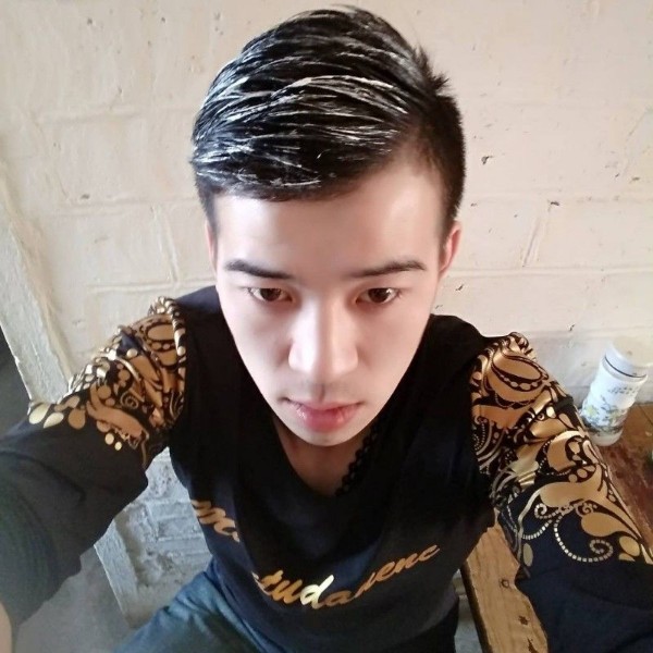 迷人迎小海豚的照片