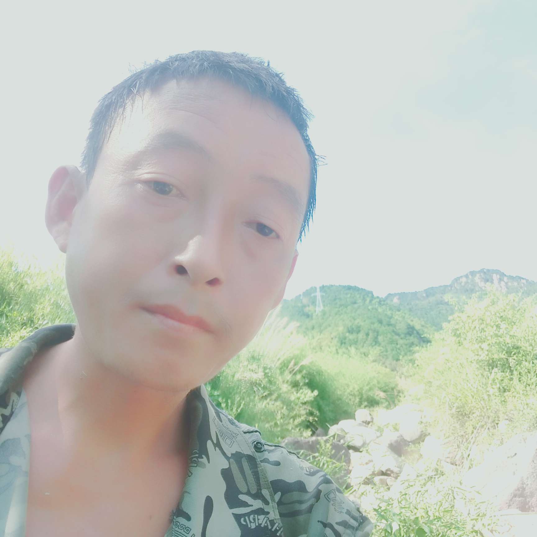 春笋来了的照片