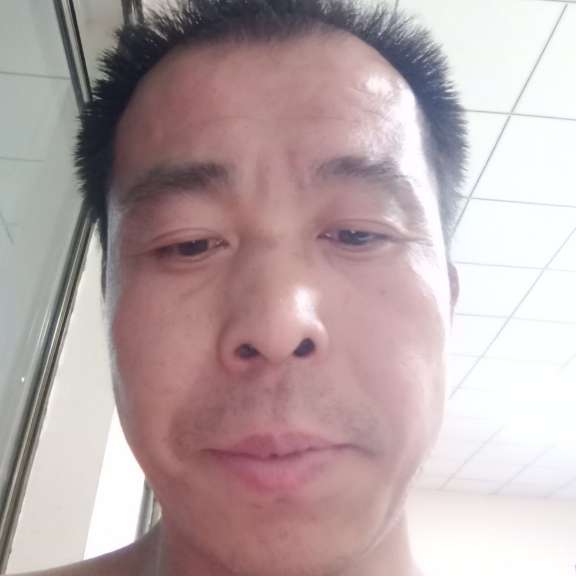 荼蘼漫步翩飞的照片
