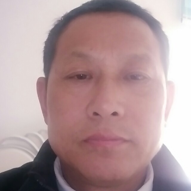 香菇改变零碎的照片