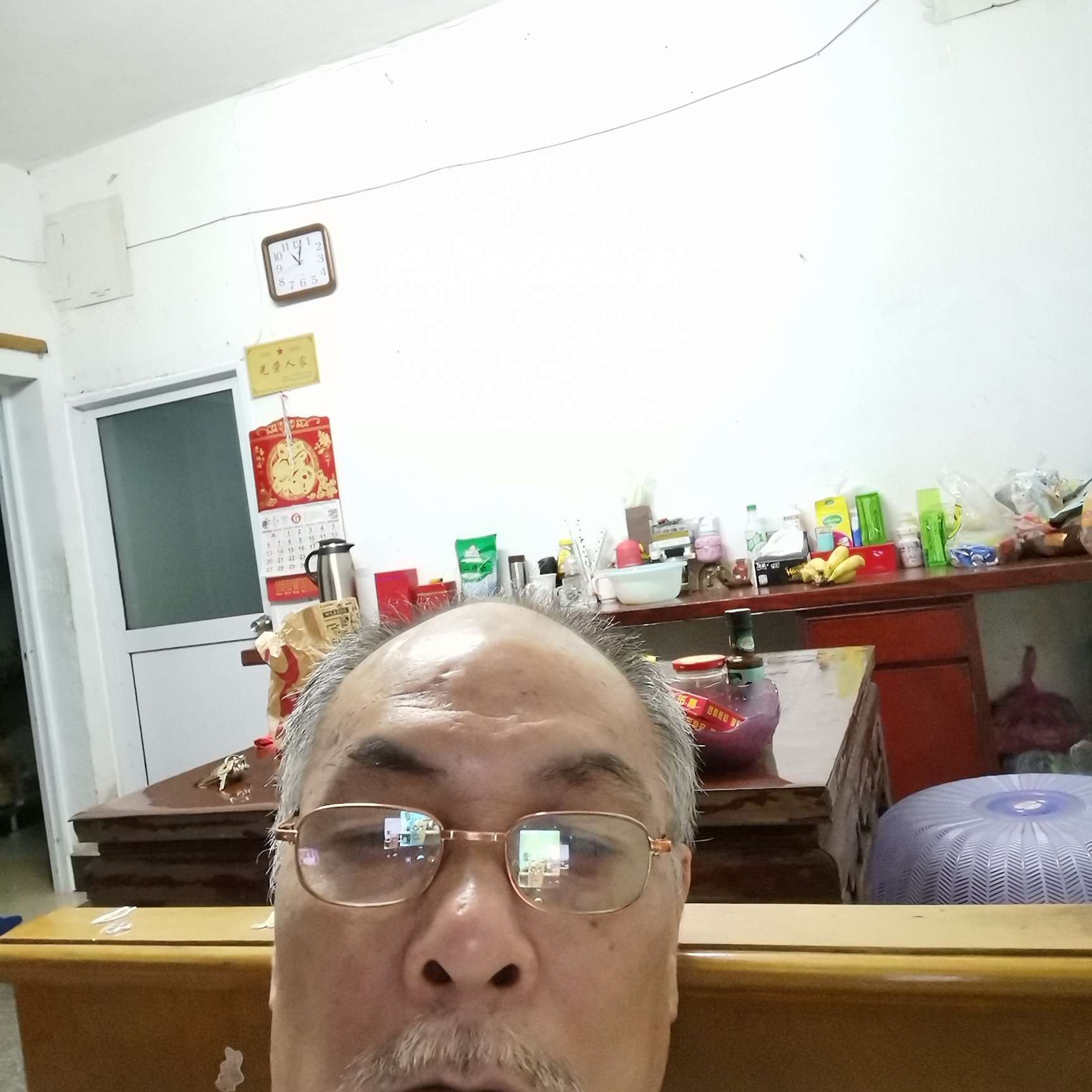 小懒虫有现代的照片