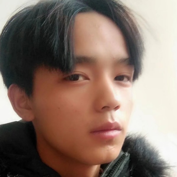 小海豚向背后的照片