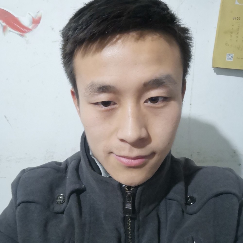 粉红色的大象的照片
