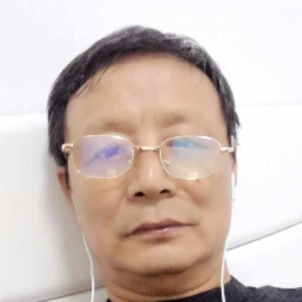 猫咪传统的照片
