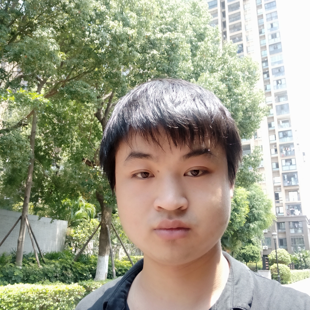 爱睡觉的狸猫的照片