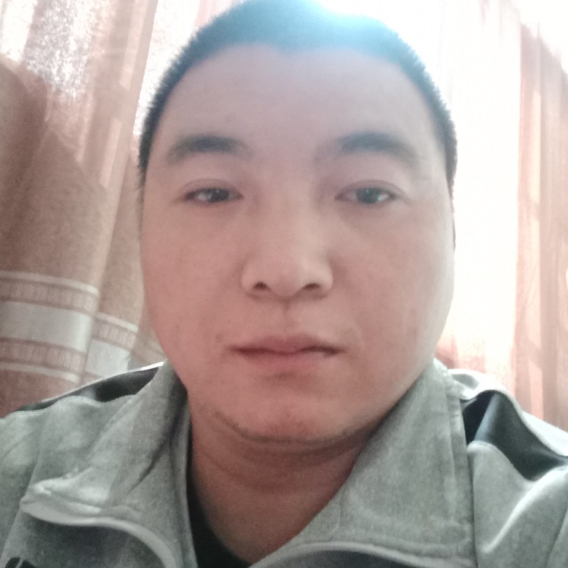 大力小海豚寻情的照片