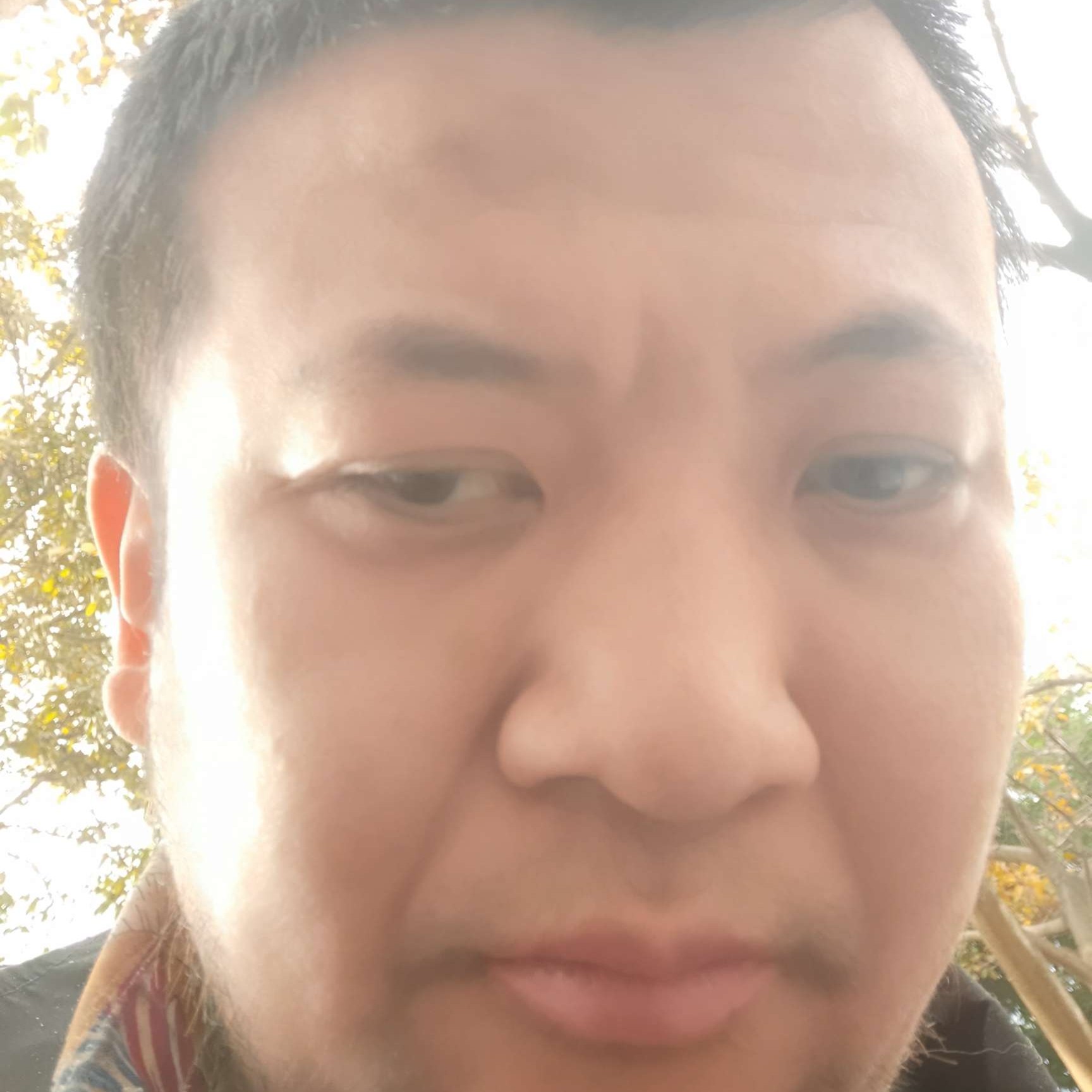 枫过无痕的照片