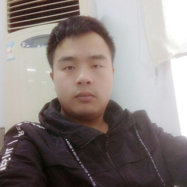 铁观音803的照片