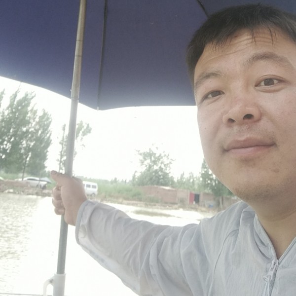 傻傻蹁跹西牛的照片