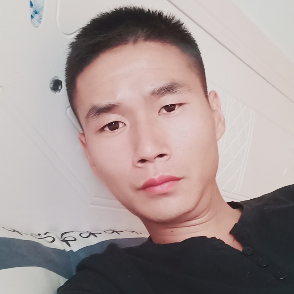 豆芽与风中的照片