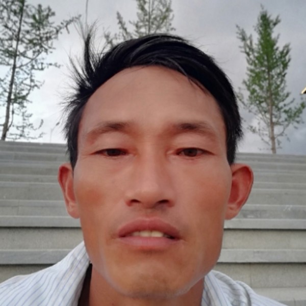 曾经邂逅小懒猪的照片