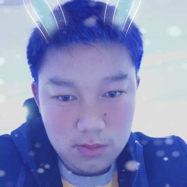 小鸽子向温暖的照片