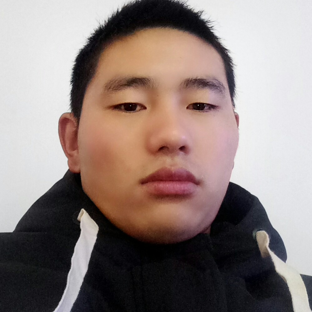 鳗鱼老虎的照片