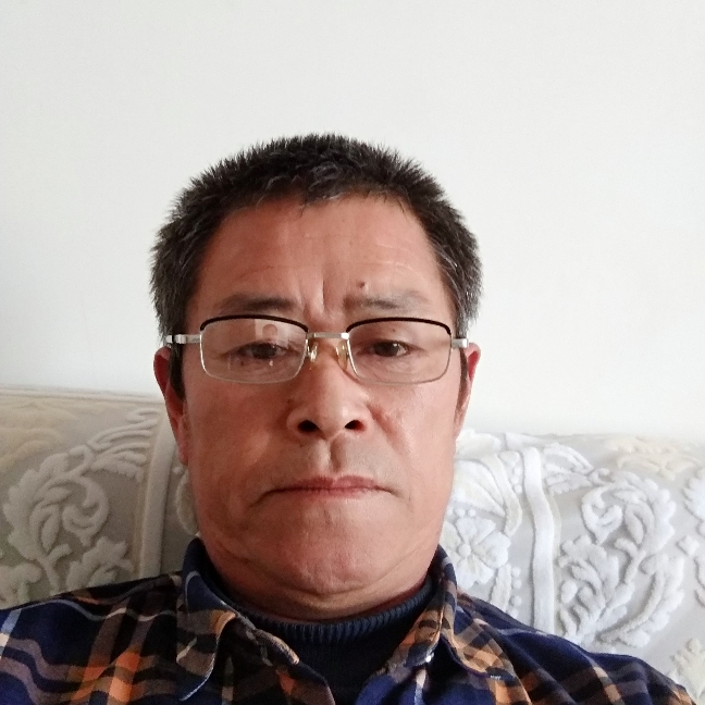 无辜黄蜂的照片