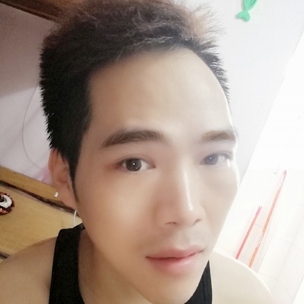 我是你的一棵树的照片