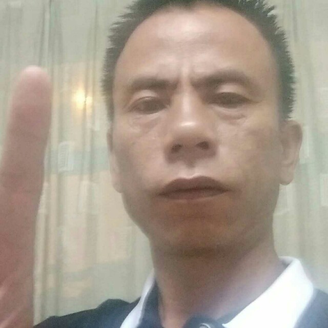 过时红玫瑰的照片