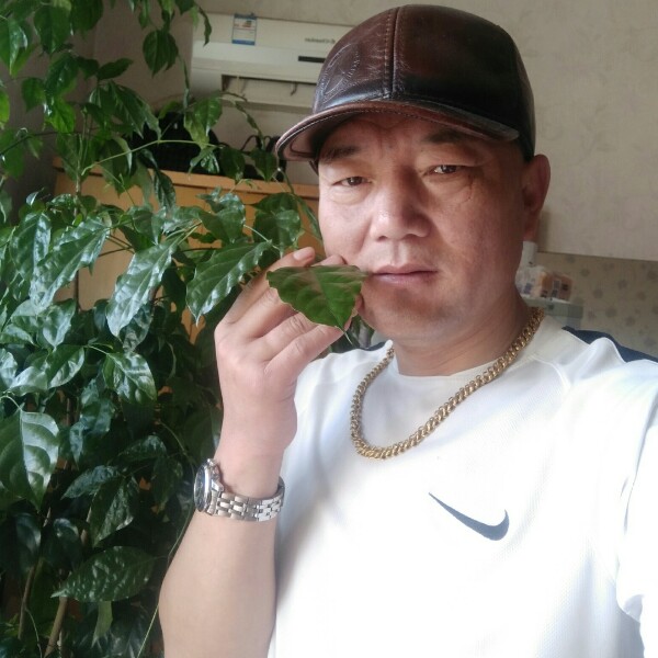 下一站思念的照片