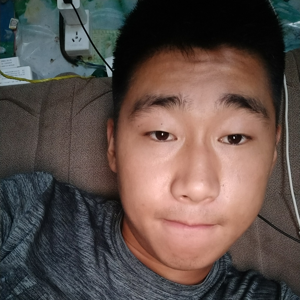 铁锅炖大鹅的照片