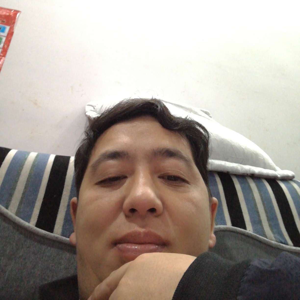 会员454469411的照片