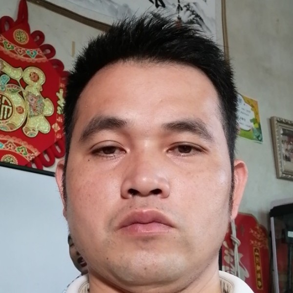 聪慧吃醋大树的照片