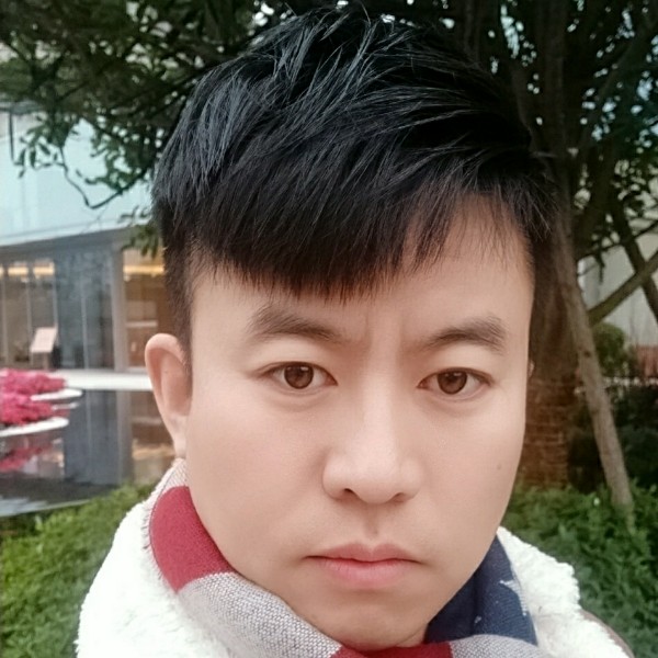 有魅力羽毛的照片