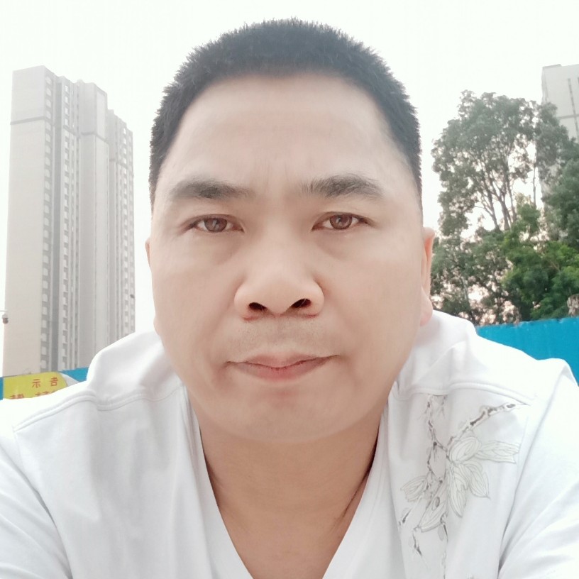 大雁爱恋自由的照片