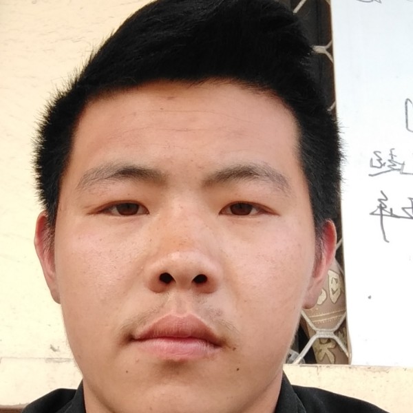 栀子树下的孤独的照片