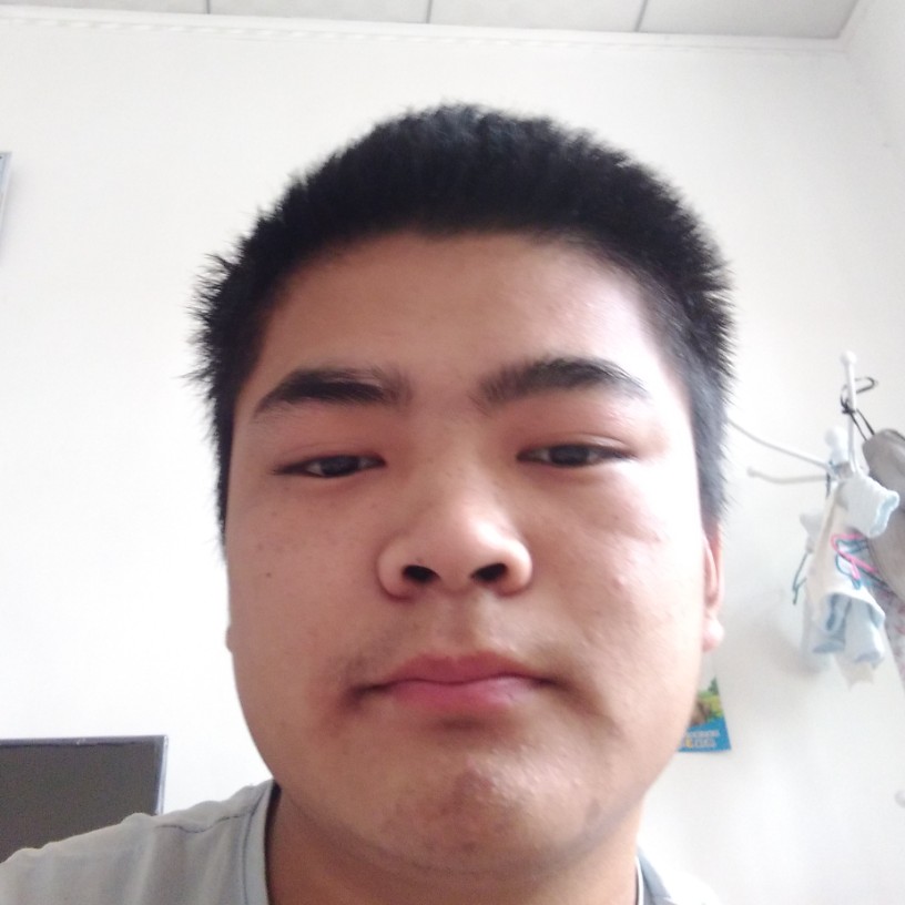 海燕淡定的照片